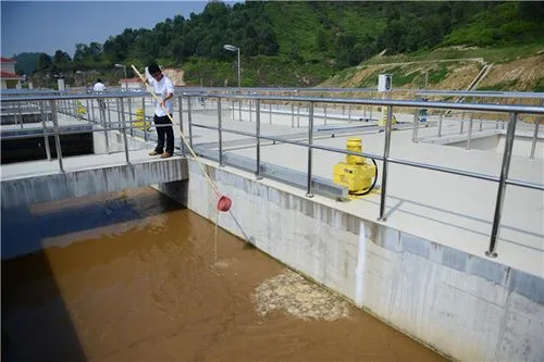 污水處理廠混凝沉淀池危險(xiǎn)有害氣體有哪些